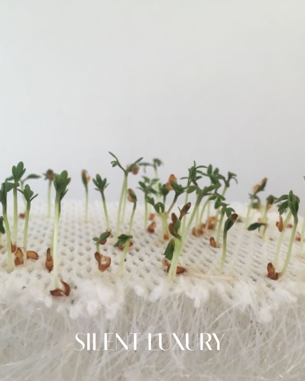 Seedlings growing from the fabricGREEN textile structure