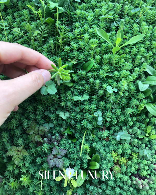 Hand touching the planted textile surface of the fabricGREEN system