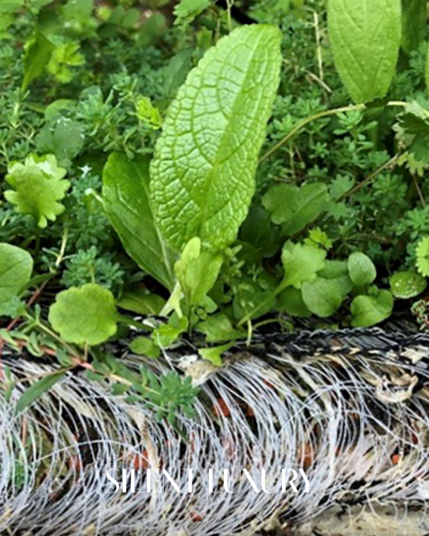 Section view of planted fabricGREEN layer with roots and textile structure visible