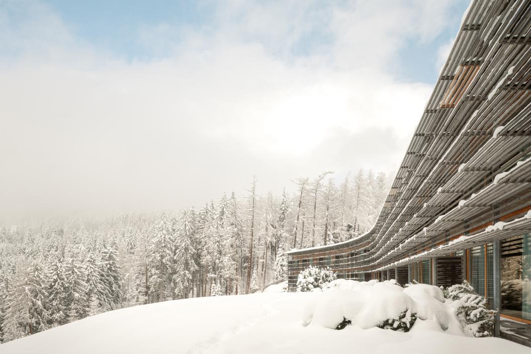 winter_nz7_4119