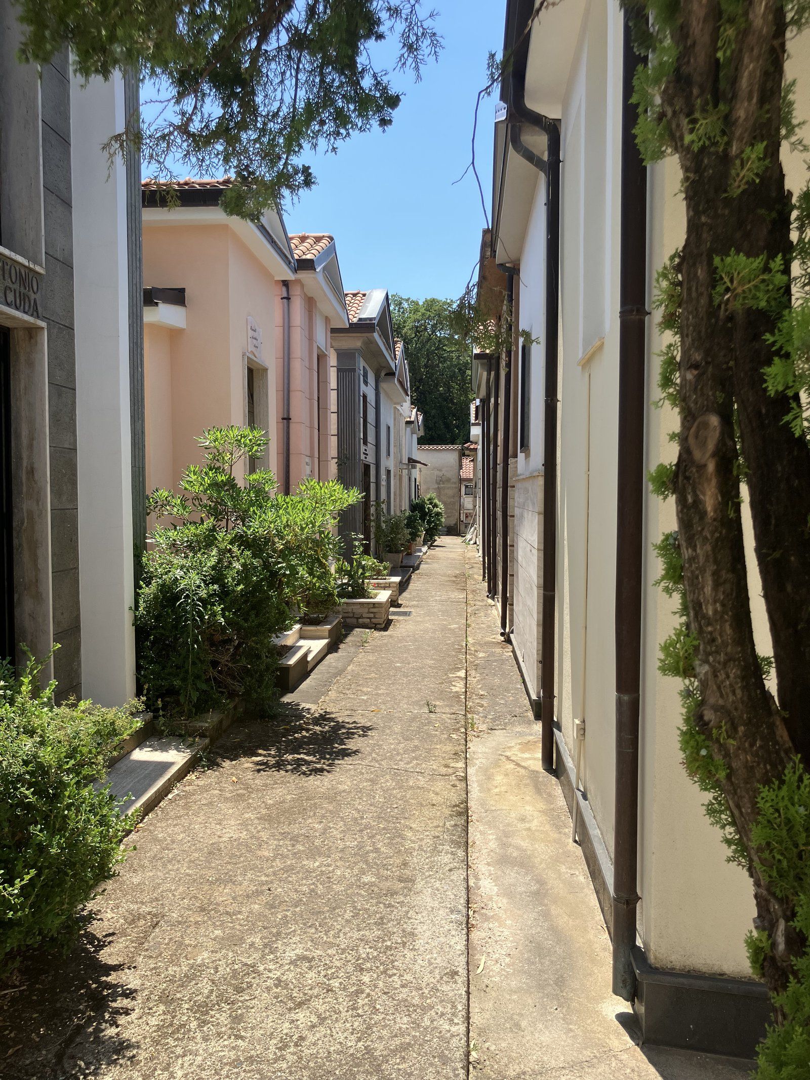 A narrow path between temple-like tomb houses at the cemetery near Ascea in the Cilento.