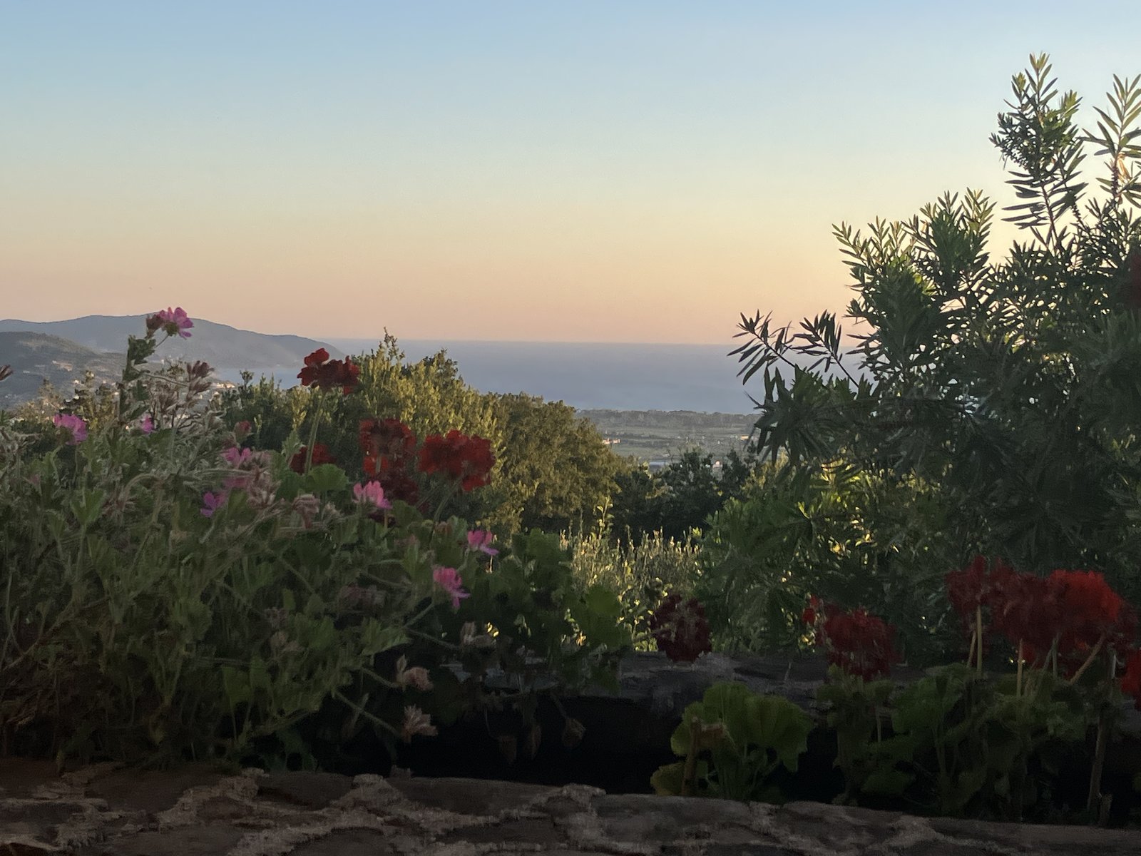 Geraniums on the terrace of Borgo La Pietraia, the Cilento coast and sea beyond in evening light.