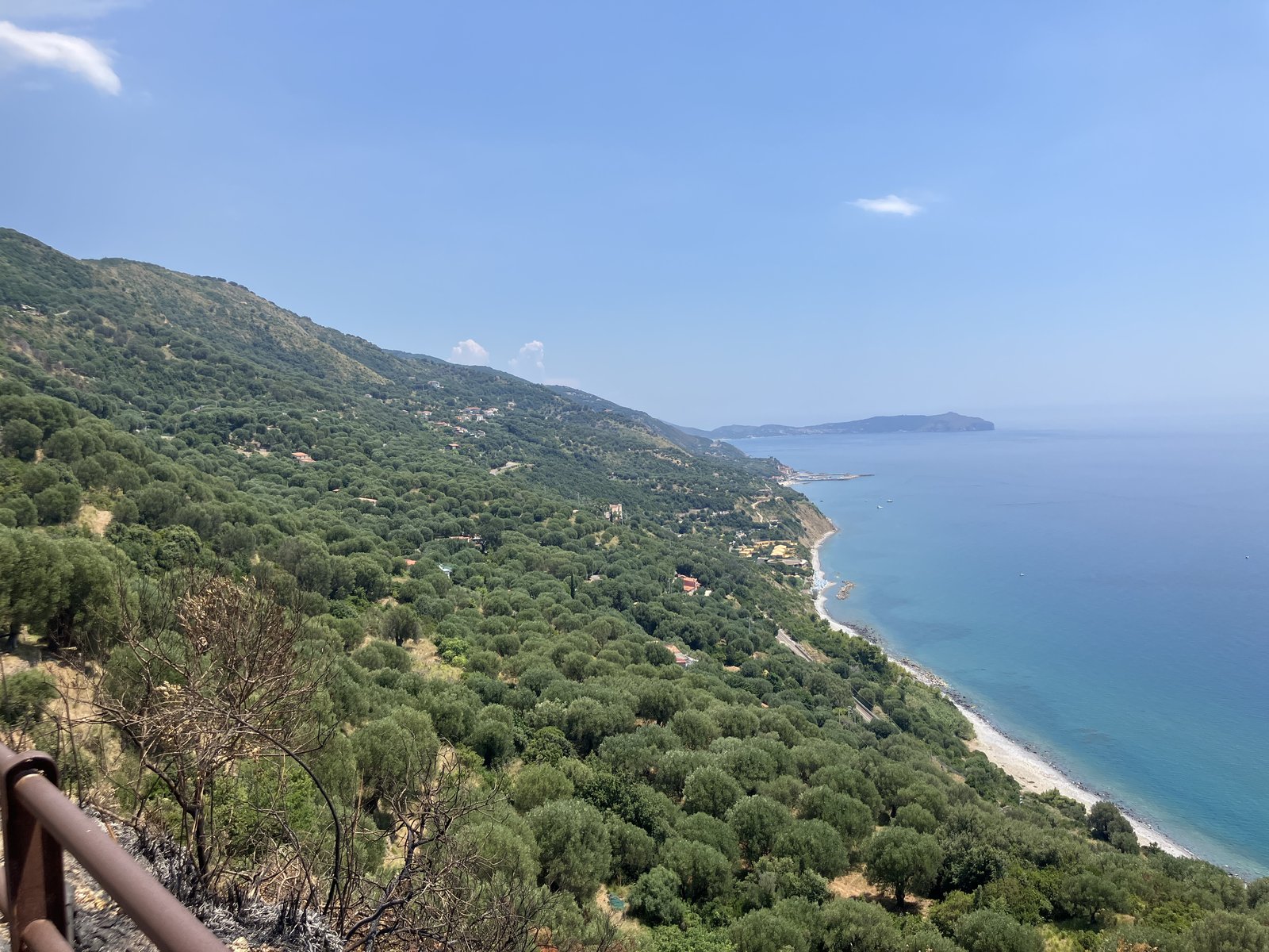A wide view of the Cilento coast near Velia, wooded hills descending to a bay.
