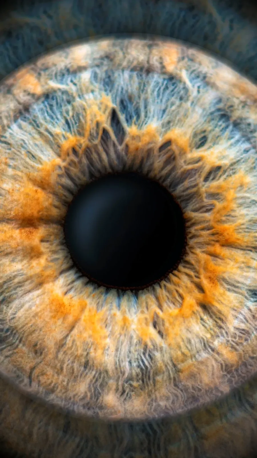 Close-up of a human iris, blue at the rim and amber around a dark pupil.