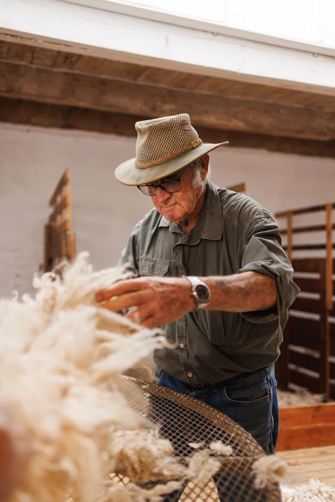 A mohair farmer sorts a fresh fleece in a South African shearing shed.